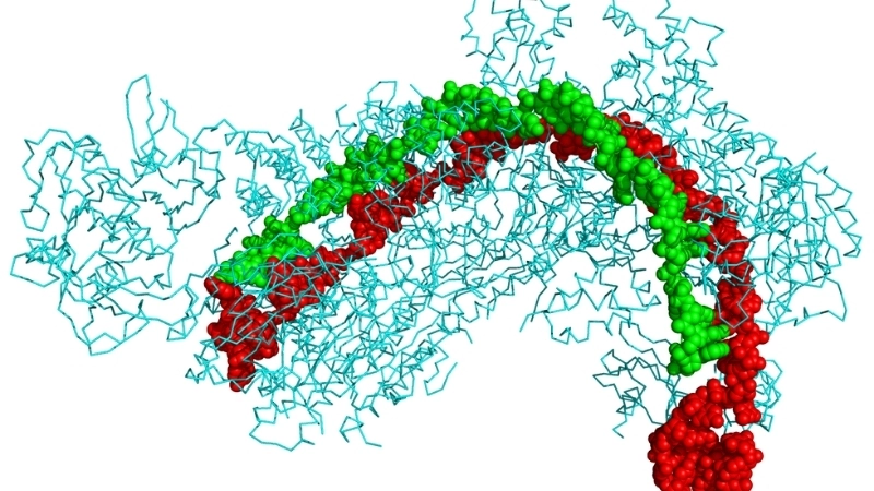 Ứng dụng của CRISPR trong y học và đời sống