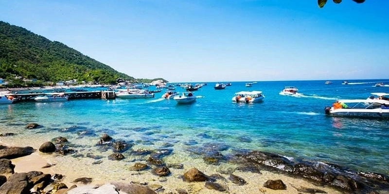 Tham khảo tour Cù Lao Chàm hấp dẫn