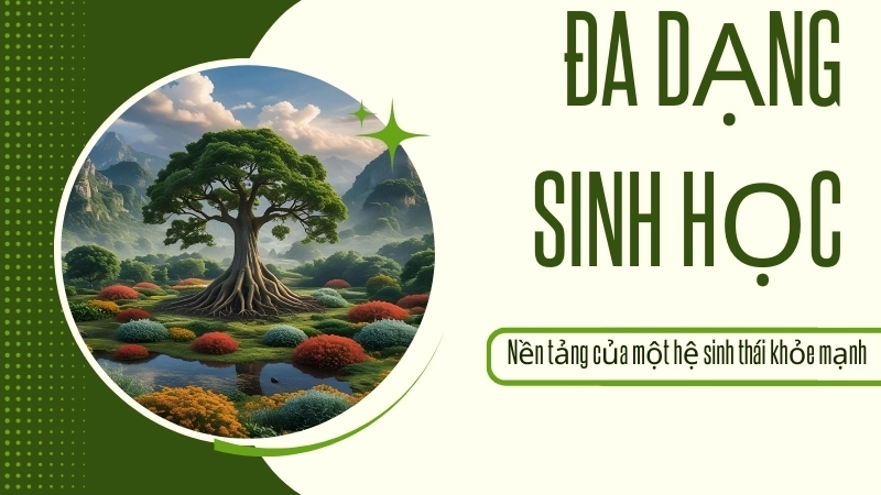 Đa dạng sinh học là nền tảng của một hệ sinh thái khỏe mạnh