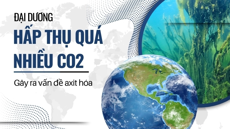 Đại dương hấp thụ quá nhiều CO2 cũng gây ra vấn đề axit hóa