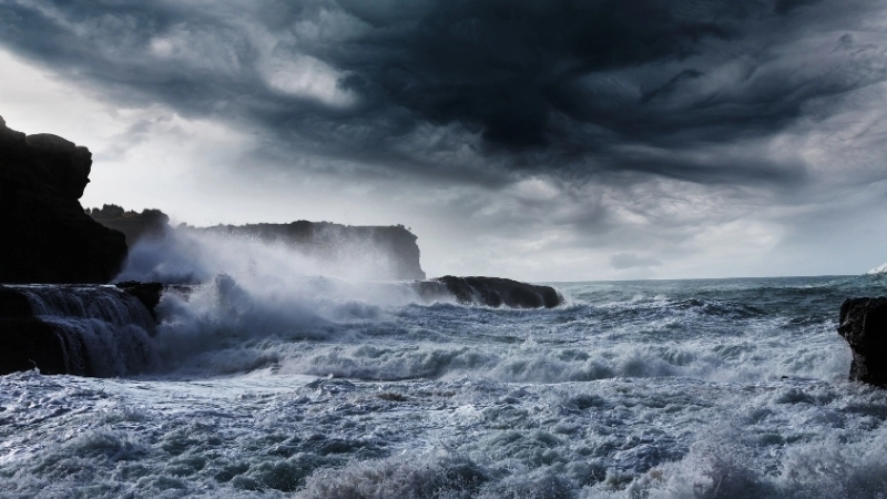 Ảnh hưởng của biến đổi khí hậu và thảm họa môi trường