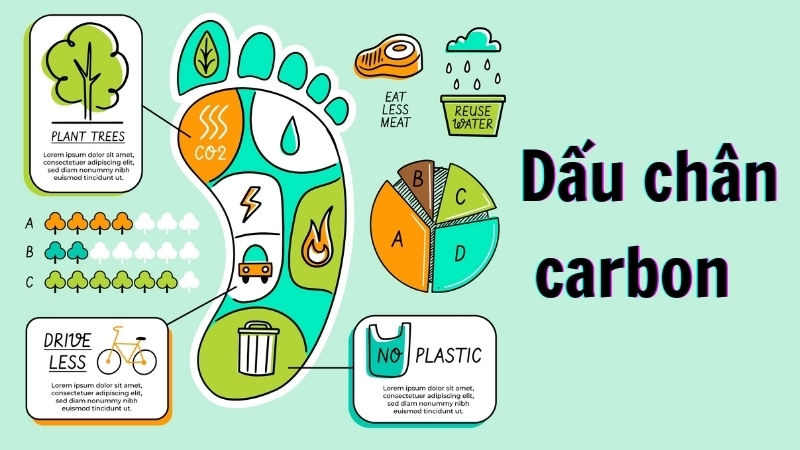  Dấu chân carbon cá nhân là tổng lượng phát thải carbon từ các hoạt động sống
