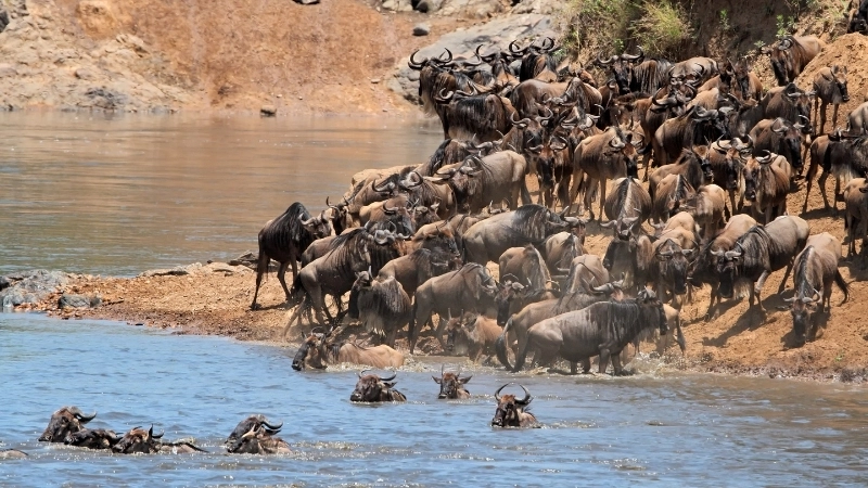  Di cư khí hậu là một hệ quả tất yếu của biến đổi khí hậu