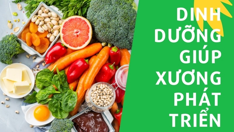 Dinh dưỡng đầy đủ là nền tảng để hệ xương phát triển khỏe mạnh và tối ưu