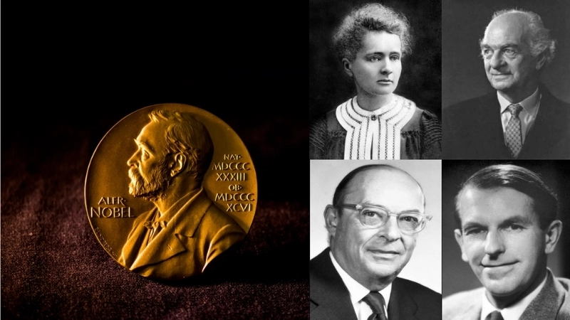 Ứng dụng Giải Nobel khoa học trong thực tiễn