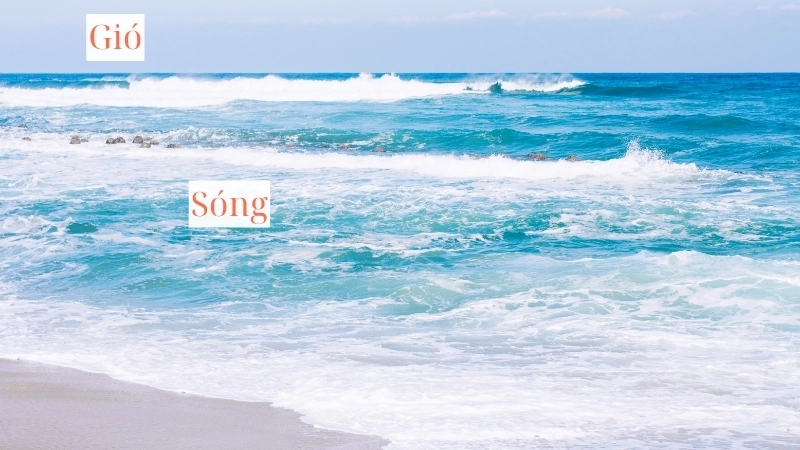  Gió và sóng hòa quyện tạo nên nhịp điệu đại dương hùng vĩ