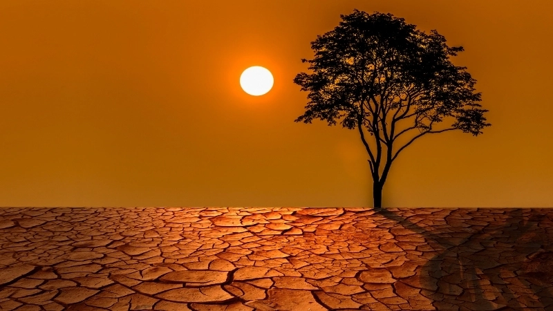 Các loại hạn hán phổ biến và ảnh hưởng của chúng