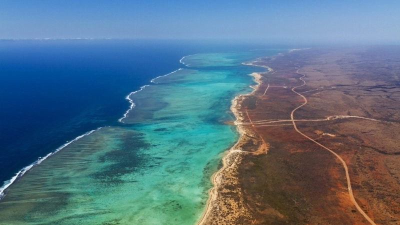 Axit hóa đại dương và biến đổi môi trường