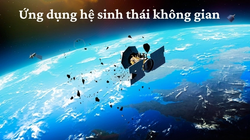Ứng dụng hệ sinh thái không gian