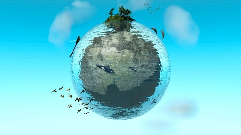 Phân loại và vai trò của hệ sinh thái