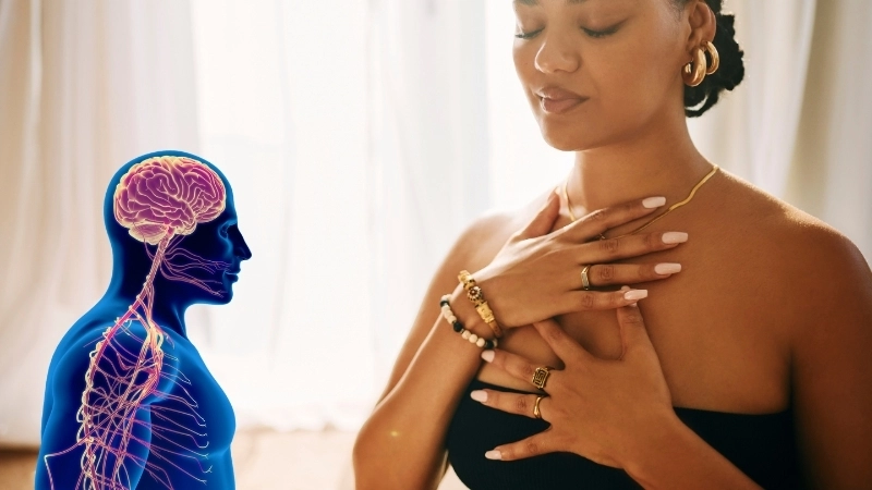 Hệ thần kinh giao cảm kích hoạt thở nhanh khi cơ thể phản ứng với stress