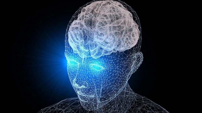  Hệ thần kinh liên tục tạo và củng cố các kết nối để lưu trữ ký ức dài hạn