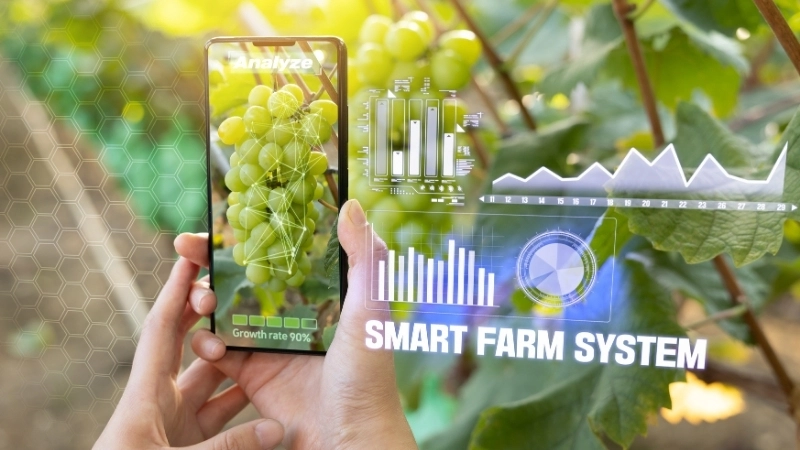 Hệ thống giám sát nước tự động theo dõi chất lượng sông hồ