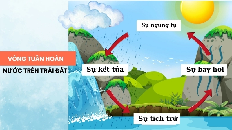 Hiện tượng mưa là một phần quan trọng của vòng tuần hoàn nước trên Trái Đất