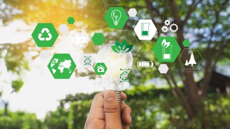 Hiểu biết về sinh thái học giúp giảm thiểu tác động tiêu cực đến môi trường