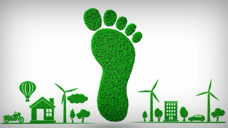  Hiểu rõ cách tính carbon footprint để đánh giá tác động môi trường