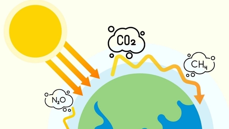 Những giải pháp giúp giảm thiểu hiệu ứng nhà kính