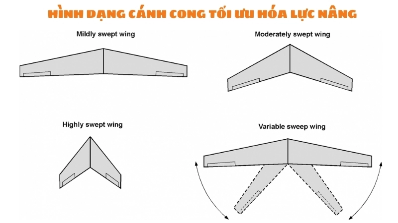  Hình dạng cánh cong tối ưu hóa lực nâng trong thí nghiệm máy bay giấy