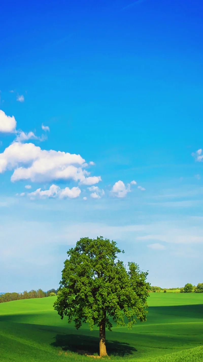 Khám phá hình nền điện thoại phong cảnh sống động