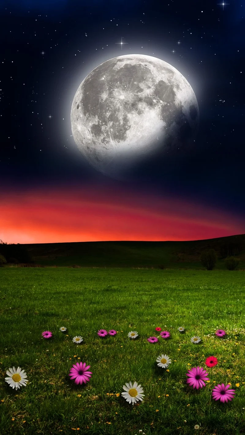 Chiêm ngưỡng cảnh sắc tuyệt vời qua hình nền điện thoại thiên nhiên đẹp