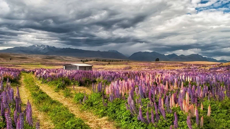 Trải nghiệm chất lượng cao với hình nền máy tính phong cảnh đẹp full hd