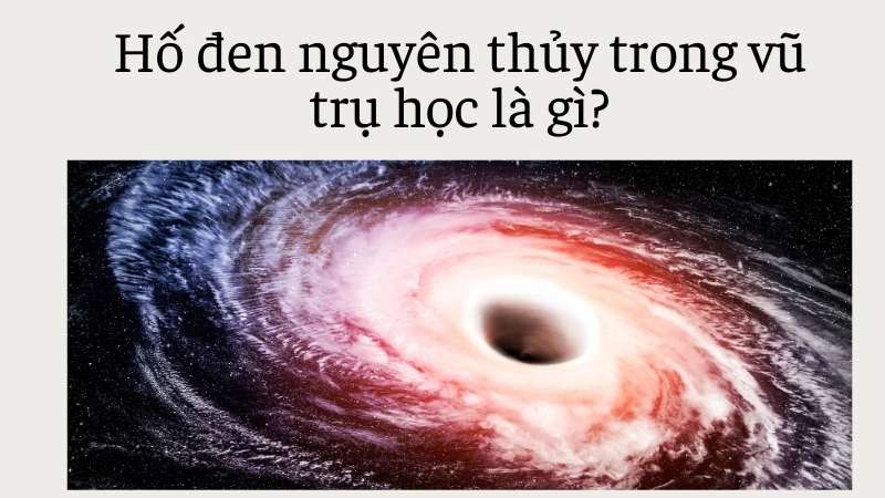 Hố đen nguyên thủy trong vũ trụ học là gì?