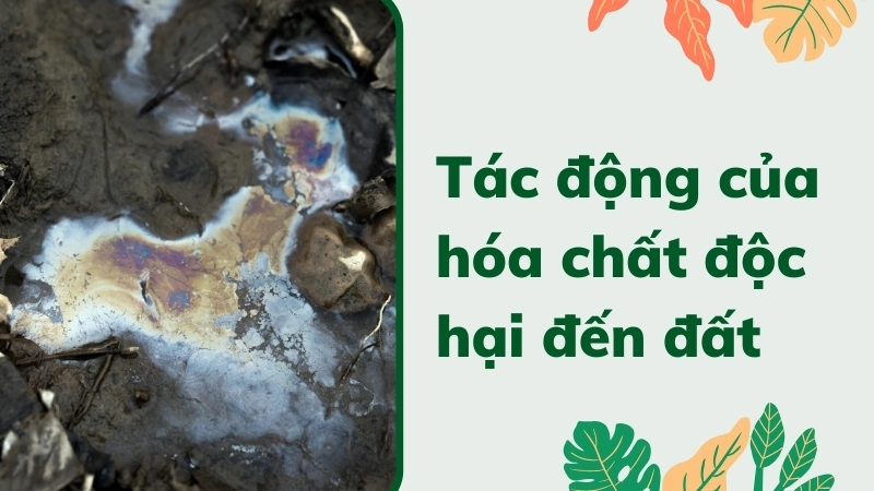 Tác động của hóa chất độc hại đến đất