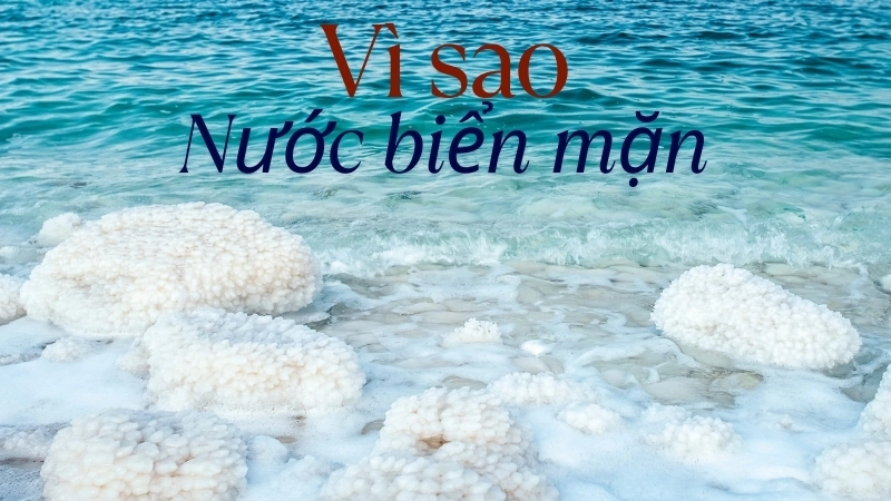  Hóa học giải thích sự khác biệt giữa sông và biển