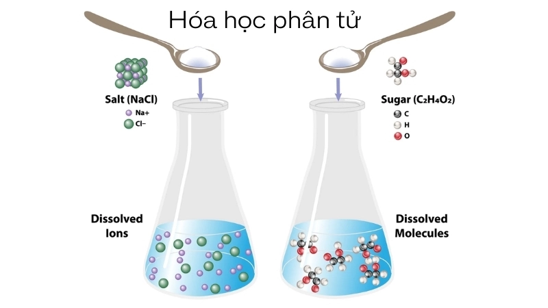  Hóa học phân tử giải thích vị mặn của hợp chất ion NaCl