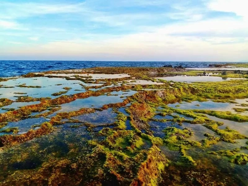 Chiêm ngưỡng cảnh đẹp Hòn Đỏ