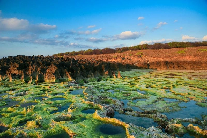 Khám phá trải nghiệm thú vị tại Hòn Đỏ Ninh Thuận