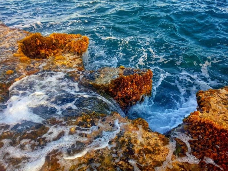 Đón bình minh Hòn Đỏ