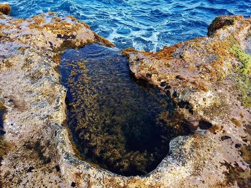 Thưởng thức hải sản Hòn Đỏ