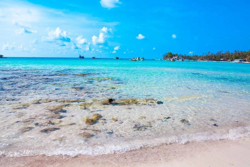 Tìm hiểu giới thiệu sơ lược về Hòn Mấu Nam Du