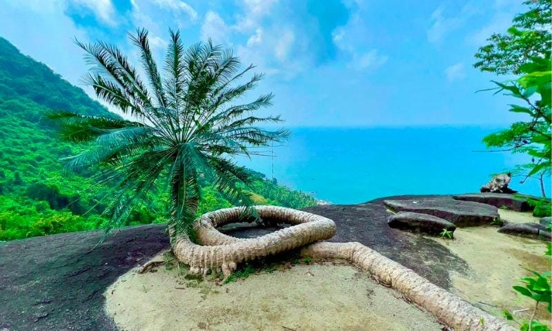 Thưởng thức hải sản Hòn Ông