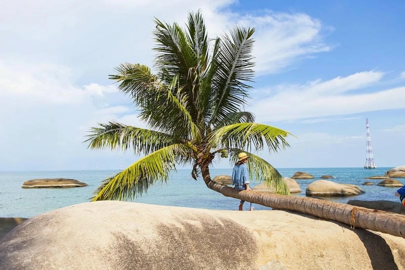 Chiêm ngưỡng cảnh đẹp Hòn Tre