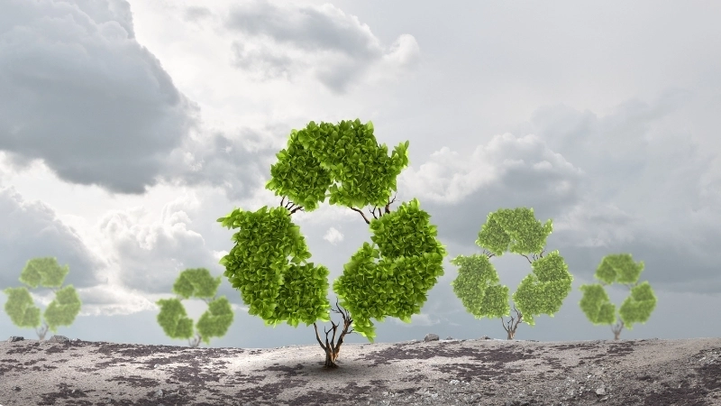  Hướng tới một tương lai bền vững với mô hình kinh tế tuần hoàn