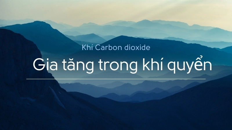 Khí Carbon dioxide gia tăng trong khí quyển là hệ quả của nạn phá rừng