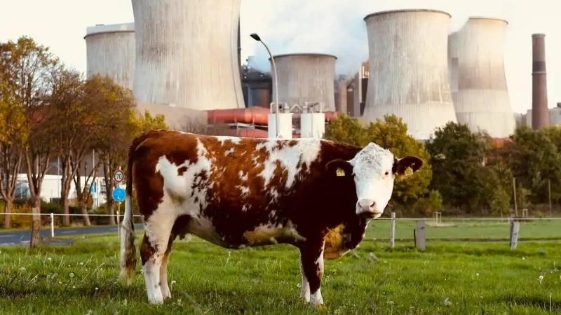  Khí Methane từ nông nghiệp cũng là một loại khí nhà kính có tác động rất mạnh mẽ