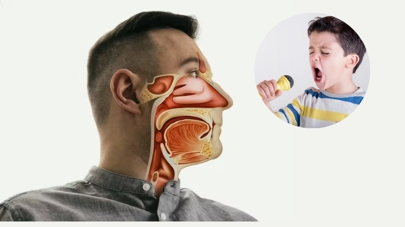 Khoang miệng và mũi quyết định âm sắc độc đáo trong sinh học cơ thể