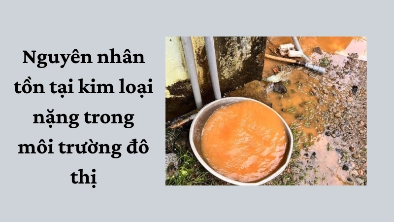 Nguyên nhân tồn tại kim loại nặng trong môi trường đô thị