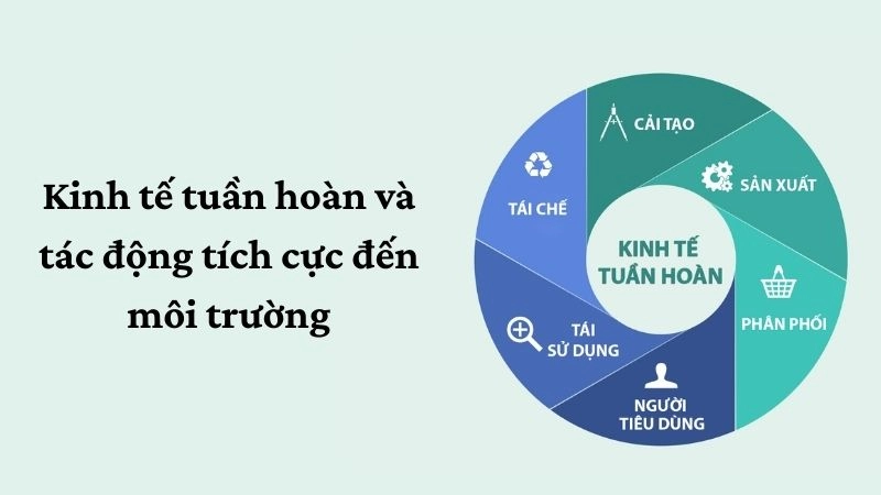 Kinh tế tuần hoàn và tác động tích cực đến môi trường