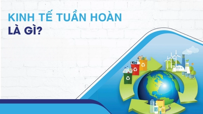 Kinh tế tuần hoàn là gì?