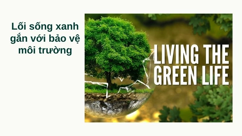 Lối sống xanh gắn với bảo vệ môi trường