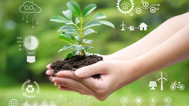 Các nguyên tắc cơ bản của lối sống xanh