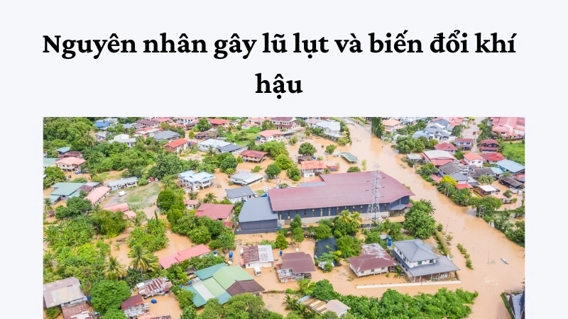 Nguyên nhân gây lũ lụt và biến đổi khí hậu