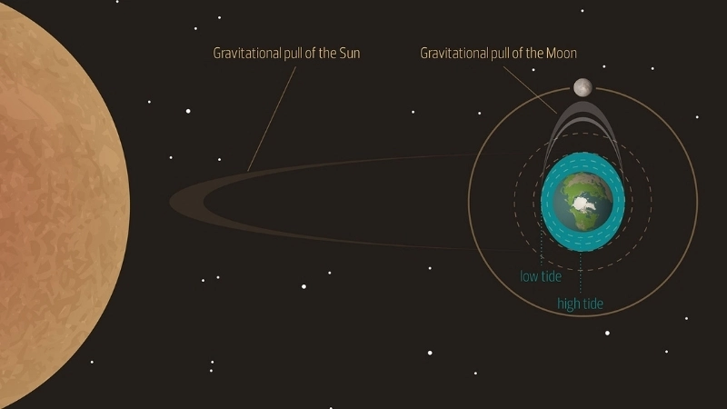  Lực hấp dẫn từ Mặt Trăng là nguyên nhân để có thủy triều trên Trái Đất