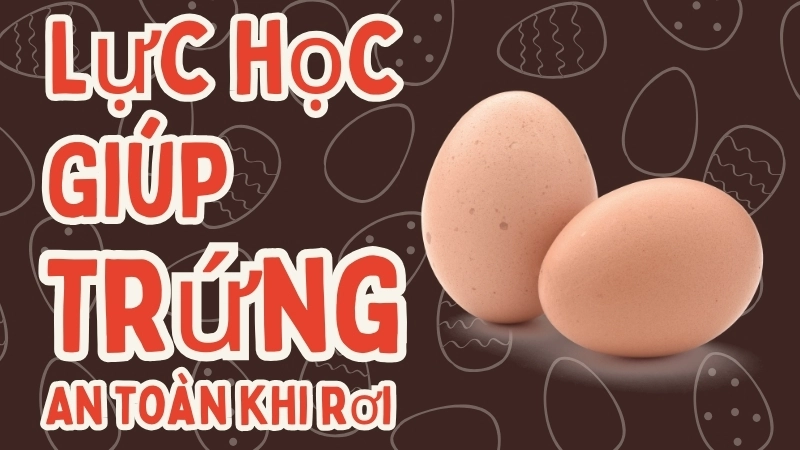  Lực học trong thí nghiệm cầu trứng giúp trứng an toàn khi rơi