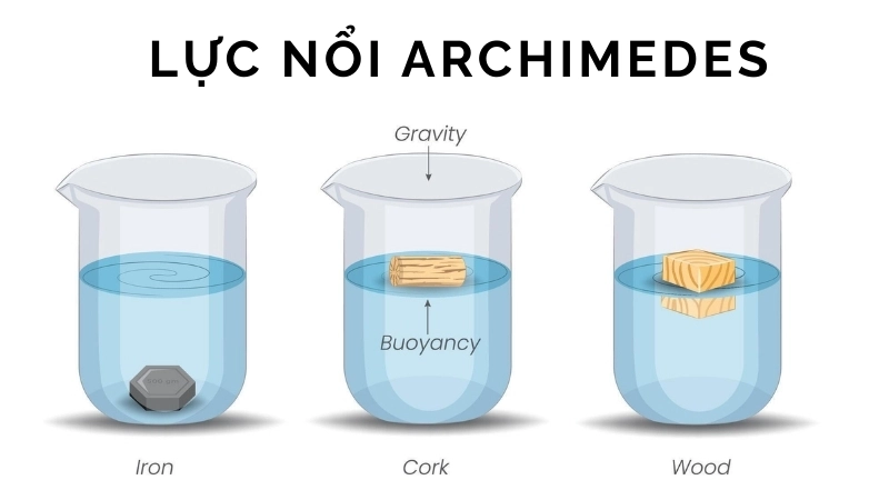  Lực nổi Archimedes trong thí nghiệm bóng bay chìm nổi