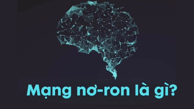 Mạng nơ-ron là gì?